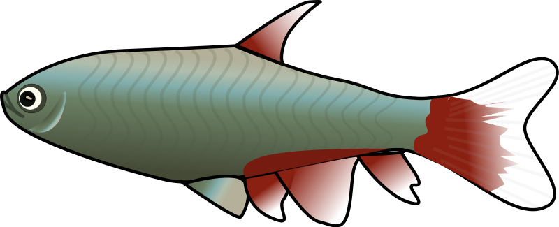 Animated Clip Art Fish
