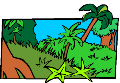 jungle clipart images