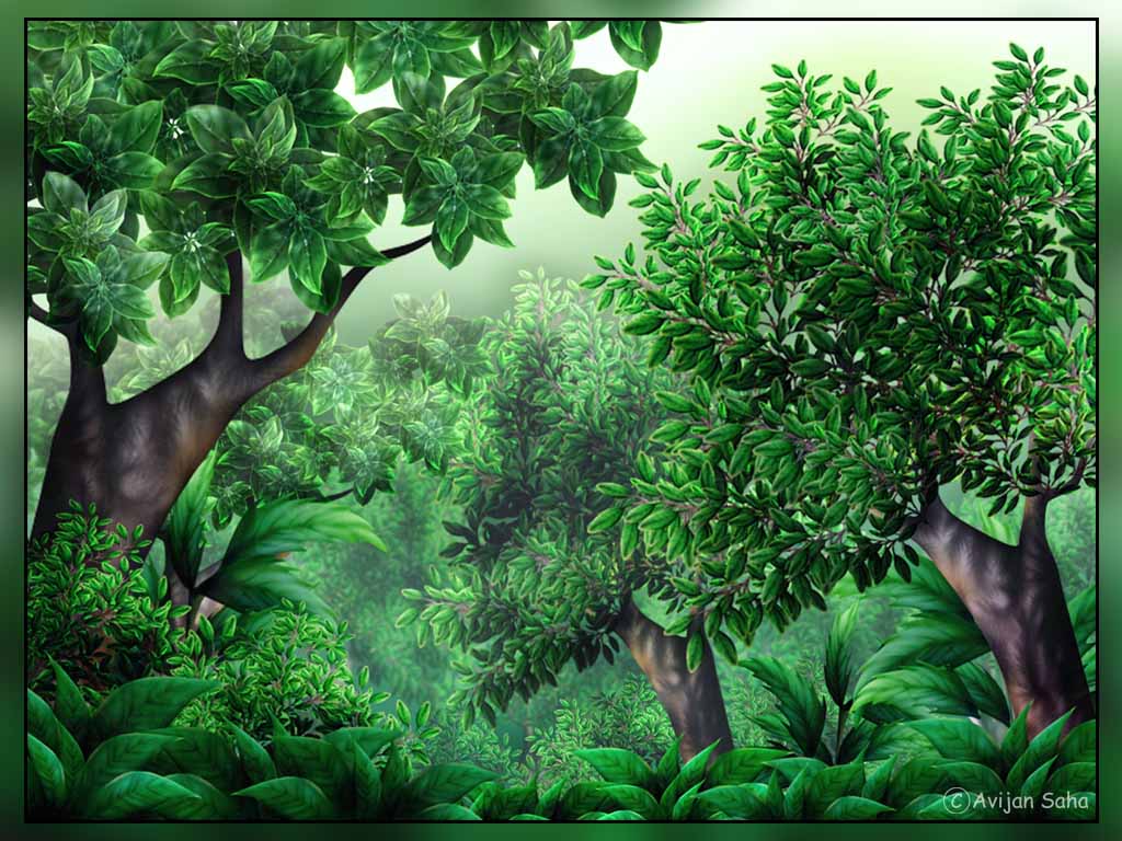 jungle background clip art