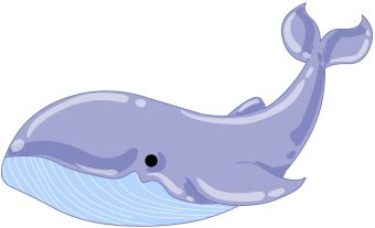 cute baby whale clipart