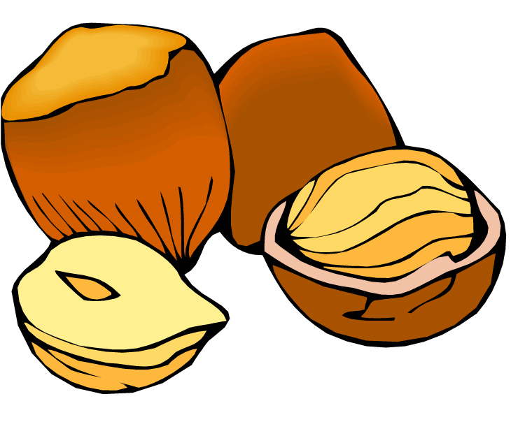 Featured image of post Nut Clipart Images Over 77 gum nut pictures to choose from with no signup needed
