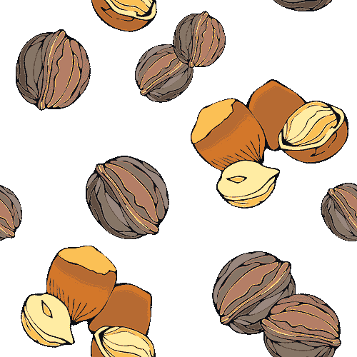 clipart of tree nuts - photo #23
