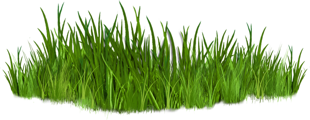 Best Grass Clipart