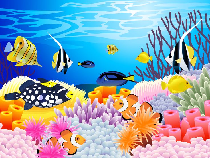Best Coral Reef Clipart