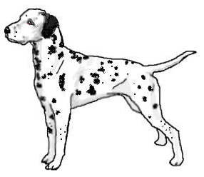 Free to Use , Public Domain Dalmatian Clip Art