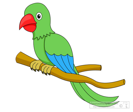 clipart of parrot - photo #13