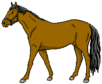 Clipart Horse