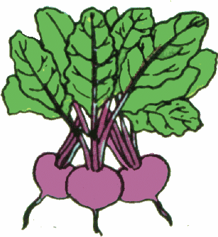 Vegetable Garden Clipart 