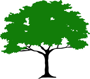 Tree Clipart Image
