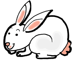 Bunny Rabbit Image Clip Art