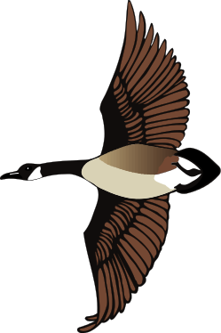 Geese Clip Art Download