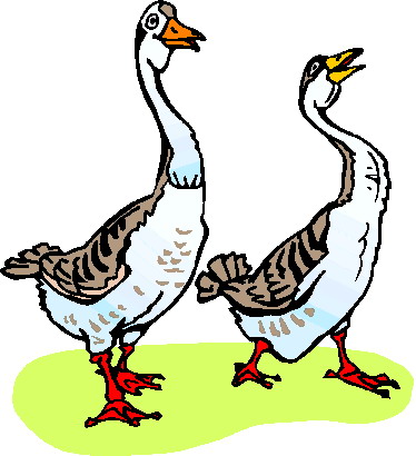 Geese cliparts