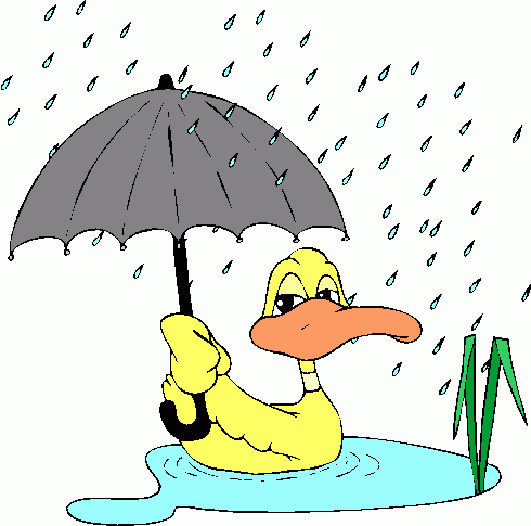 clipart duck with umbrella