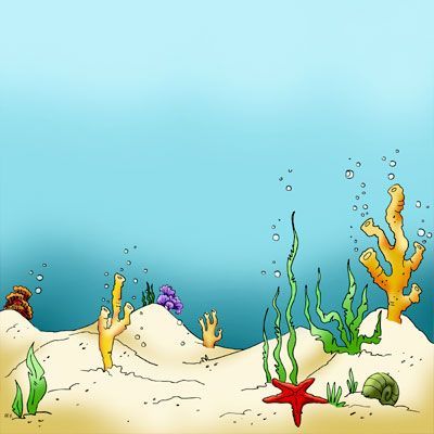 Seaweed Sea Floor in Digital image