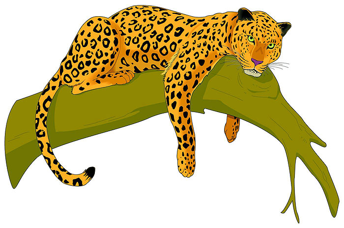 black jaguar clipart - photo #9