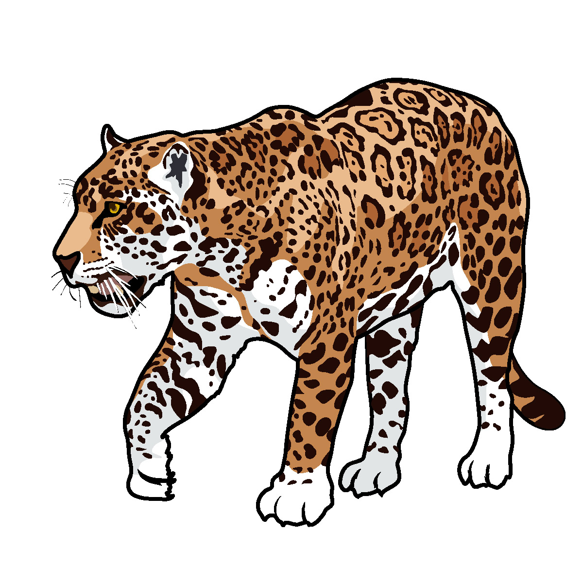 Jaguar Clipart Png Clip Art Library