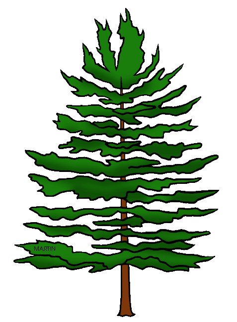 Free United States Clip Art by Phillip Martin, State Tree of