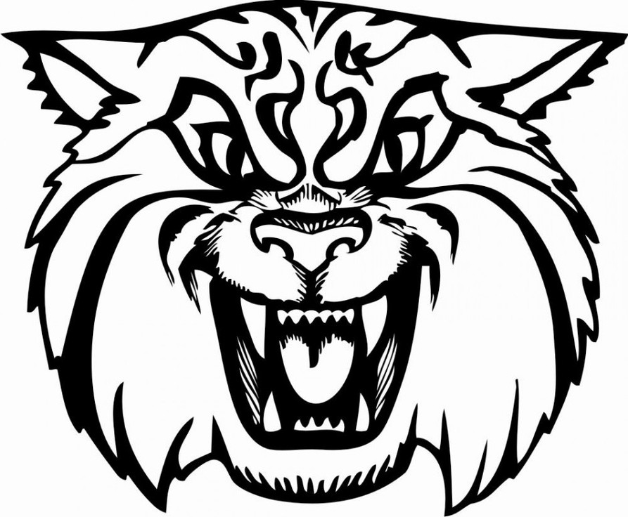 Kentucky Wildcat Logo Clip Art Mewarnai Clipart
