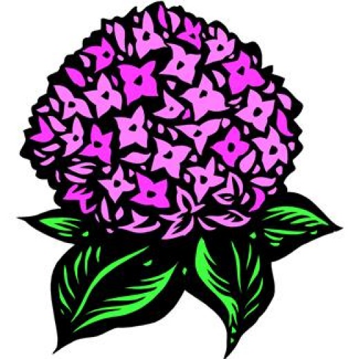 free clip art hydrangea flowers - photo #5
