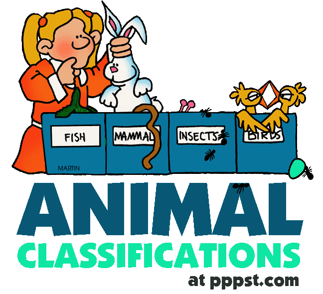 Animal Classification Clipart