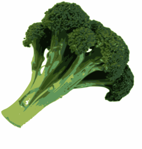 Broccoli Clip Art 