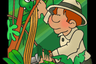 Poison Arrow Frog Clip Art : 7 Rainforest Animals Clipart