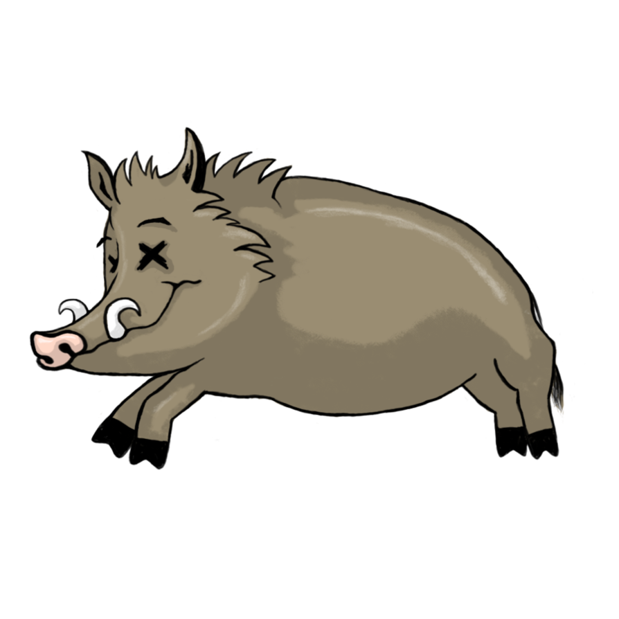 Free Boar Cliparts, Download Free Boar Cliparts png images, Free