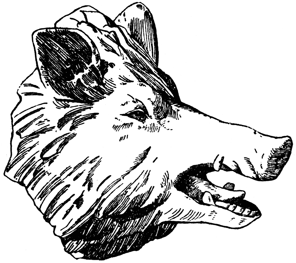 wild boar black and white - Clip Art Library
