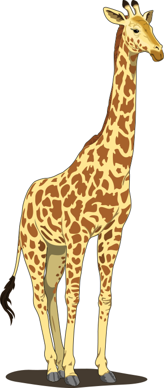 Giraffe 2 free vector image