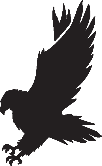 Hawk Mascot Clipart 