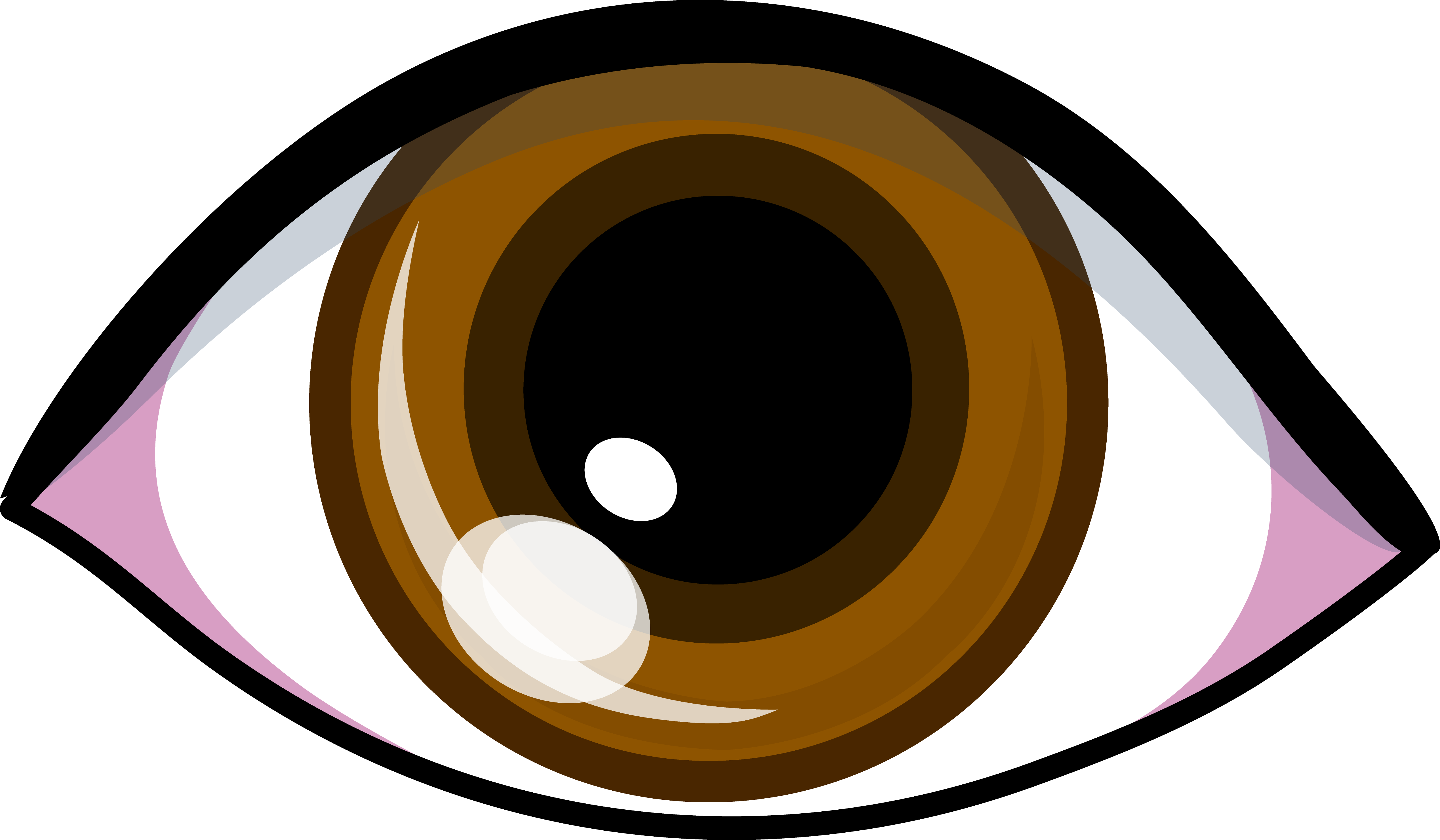 Brown Eye Clipart