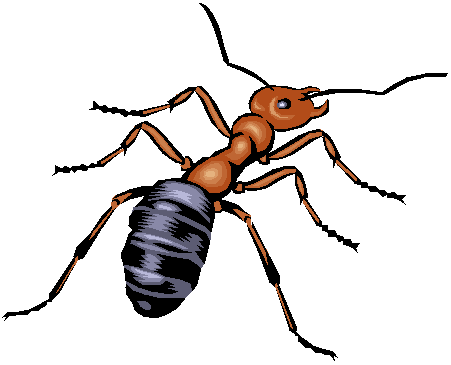 Ant Clipart 