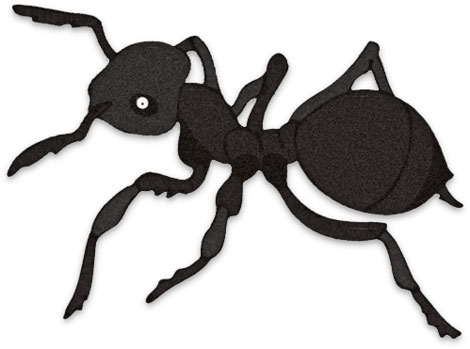 Free Ant Clipart 