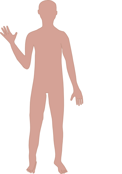 Male Body Clipart