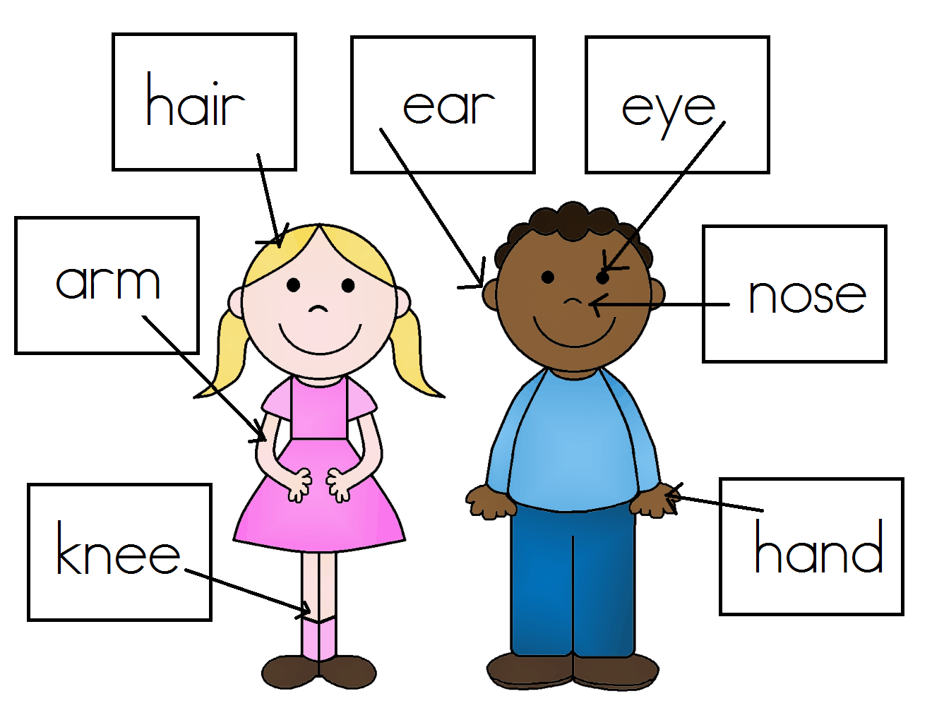 Our Body For Children Clip Art Library