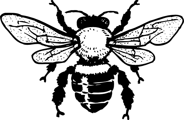 queen bee clipart black and white basketball