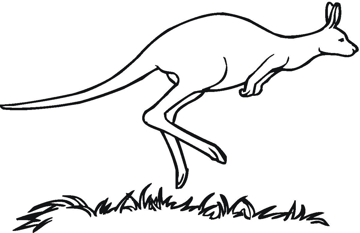 Kangaroo cliparts