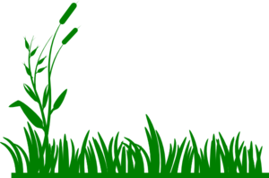 Green Grass Clip Art 