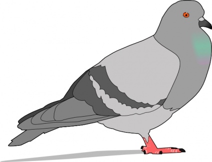 Pigeon clipart free clipart image 3 image