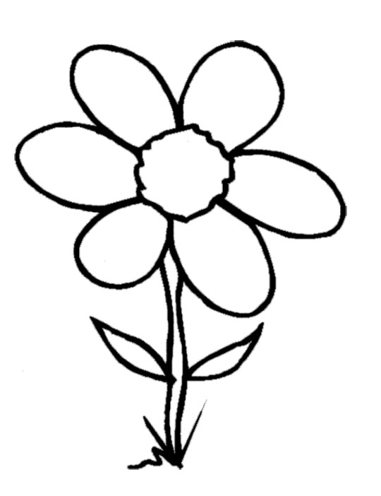 flower clip art coloring pages - photo #30