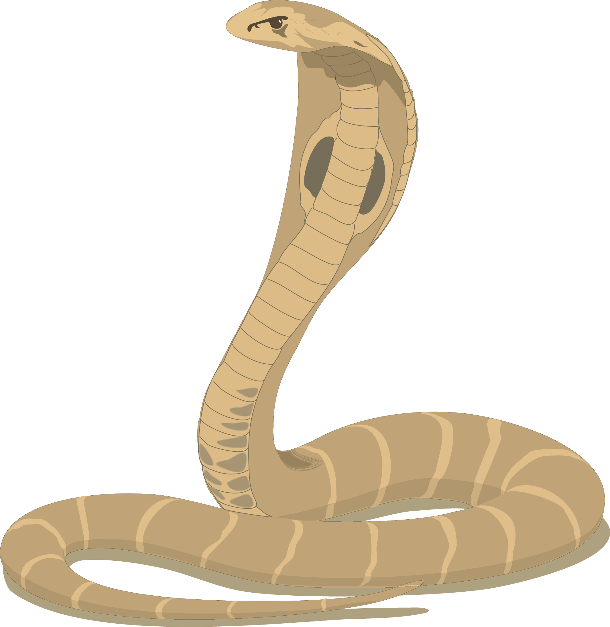 Cobra Snake Cartoon