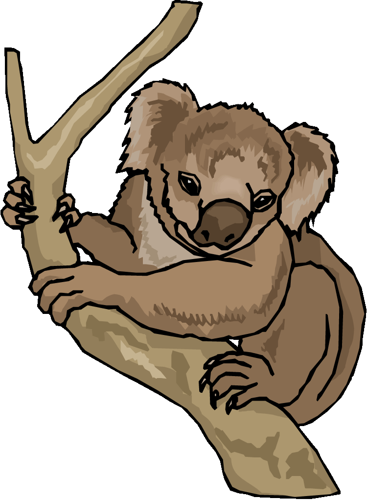 Free Koala Clipart 