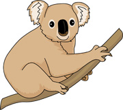 Free Koala Clipart 