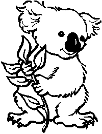 Koala Bear Clip Art