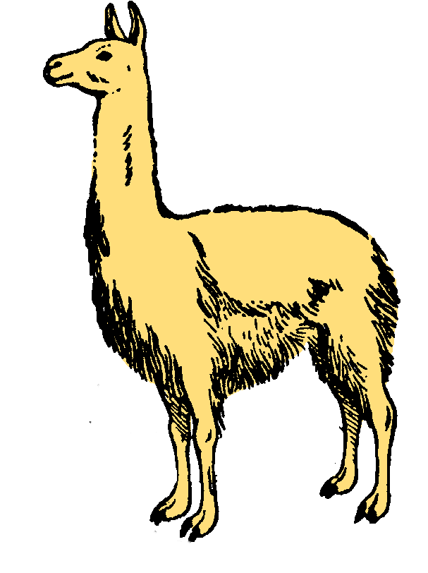 Llama Clip Art Cartoon 