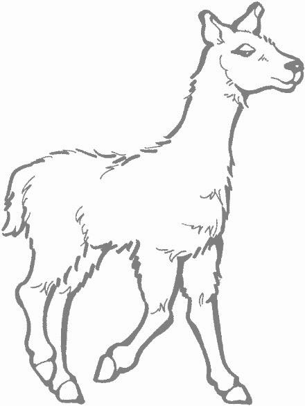 Llama clip art at vector clip art free image 