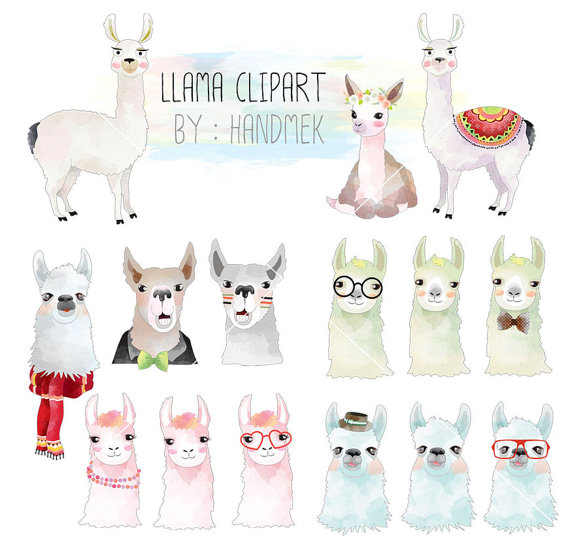 Llama ClipartCute Llama Clip Art Instant Download PNG by HandMek 