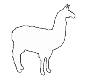 Cartoon Llama Pictures 