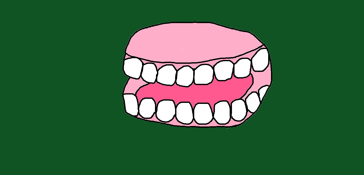 Fake Teeth