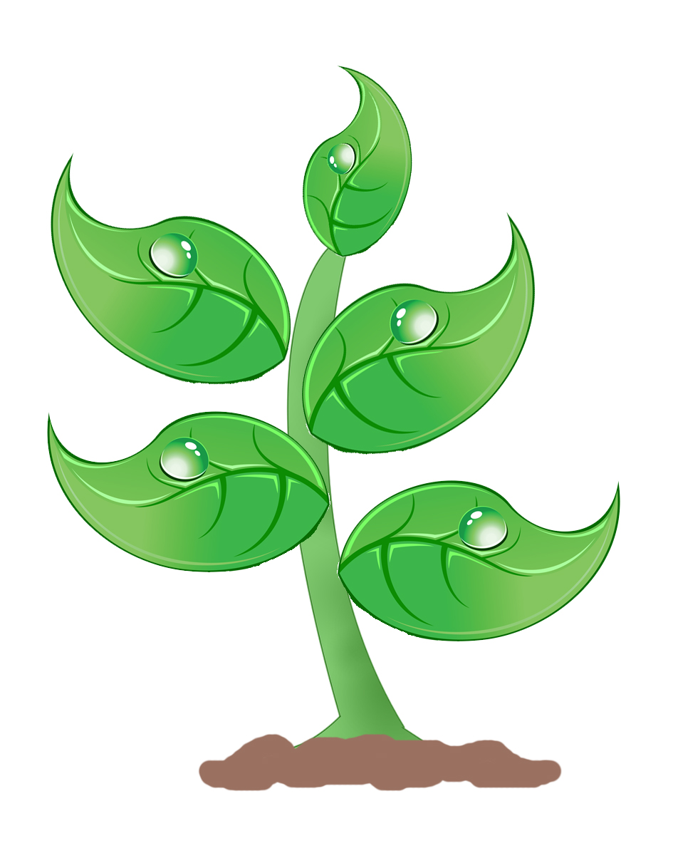 green plant clip art - photo #20